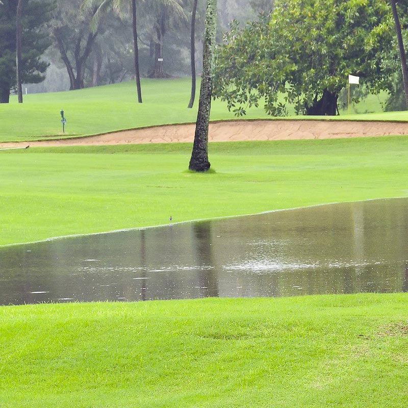 Storm water run-off can cause major damage to properties if not removed and allowed to sit, can stagnate.