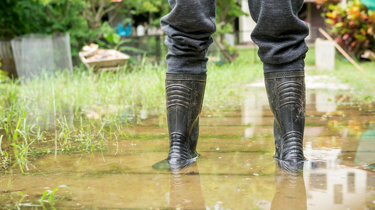 Putting Storm Water in Its Place